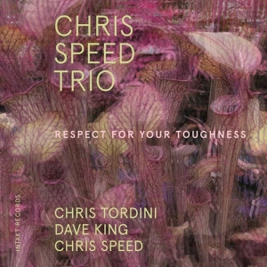 Chris Speed Trio - Respect For Your Toughness ryhmässä CD @ Bengans Skivbutik AB (3681756)