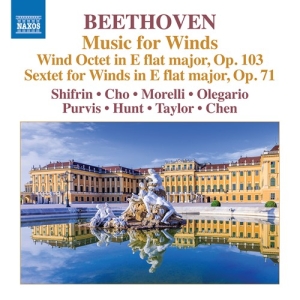 Beethoven Ludwig Van - Music For Winds ryhmässä CD @ Bengans Skivbutik AB (3681816)