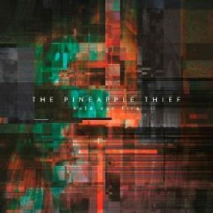 Pineapple Thief - Hold Our Fire ryhmässä Minishops / The Pineapple Thief @ Bengans Skivbutik AB (3694355)