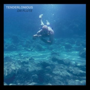 Tenderlonius - On Flute ryhmässä VINYYLI @ Bengans Skivbutik AB (3717717)