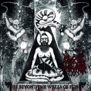 Black Mass Pervertor - Life Beyond The Walls Of Flesh ryhmässä VINYYLI @ Bengans Skivbutik AB (3717802)