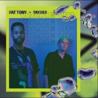 Fat Tony & Taydex - Wake Up ryhmässä VINYYLI @ Bengans Skivbutik AB (3723349)