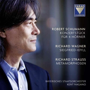 Schumannrobert/Wagnerrichard/Stra - Konzertstück/Siegfried-Idyll/Metam. ryhmässä CD @ Bengans Skivbutik AB (3731614)