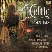 Various - Celtic Essentials ryhmässä CD @ Bengans Skivbutik AB (3733856)