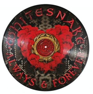 Whitesnake - Always & Forever (Ltd Ed Picture Di ryhmässä VINYYLI @ Bengans Skivbutik AB (3734527)