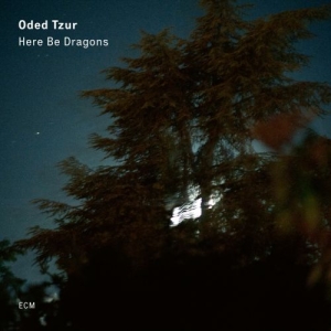 Tzur Oded - Here Be Dragons ryhmässä CD @ Bengans Skivbutik AB (3736660)