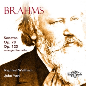 Brahms Johannes - Sonatas, Opp. 78 & 120 (Arranged Fo ryhmässä ME SUOSITTELEMME / Joululahjavinkki: CD @ Bengans Skivbutik AB (3743338)