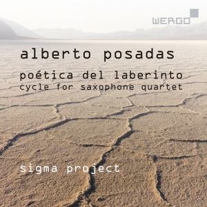 Posadas Alberto - Poetica Del Laberinto - Cycle For S ryhmässä ME SUOSITTELEMME / Joululahjavinkki: CD @ Bengans Skivbutik AB (3743362)