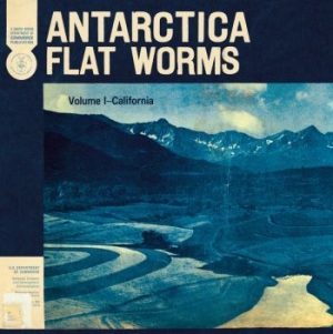 Flat Worms - Antarctica ryhmässä VINYYLI @ Bengans Skivbutik AB (3747649)