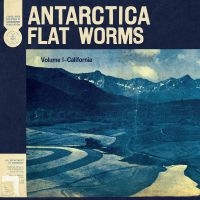 Flat Worms - Antarctica ryhmässä Rock @ Bengans Skivbutik AB (3747681)