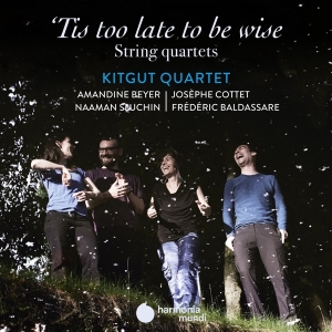 Kitgut Quartet - 'tis Too Late To Be Wise ryhmässä CD @ Bengans Skivbutik AB (3760933)