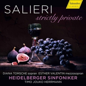 Salieri Antonio - Strictly Private ryhmässä CD @ Bengans Skivbutik AB (3761743)