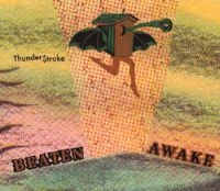 Beaten Awake - Thunderstroke ryhmässä CD @ Bengans Skivbutik AB (3762128)