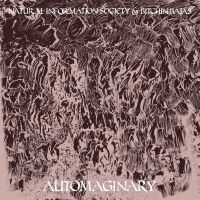 Bitchin Bajas & Natural Information - Automaginary ryhmässä VINYYLI @ Bengans Skivbutik AB (3763842)