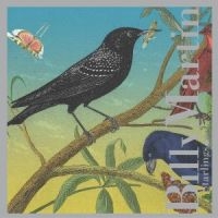 Martin Billy - Starlings ryhmässä CD @ Bengans Skivbutik AB (3764616)