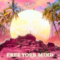 Big Gigantic - Free Your Mind ryhmässä CD @ Bengans Skivbutik AB (3766609)