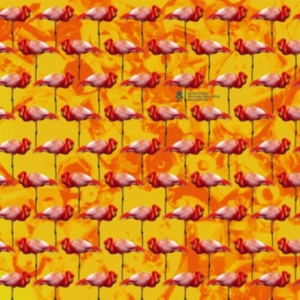 Elephant Chateau - Dreamings & Offshore Drilling ryhmässä CD @ Bengans Skivbutik AB (3772909)