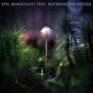 Brandqvist Emil - Entering The Woods ryhmässä VINYYLI @ Bengans Skivbutik AB (3774120)