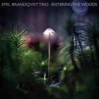 Brandqvist Emil - Entering The Woods ryhmässä CD @ Bengans Skivbutik AB (3774127)