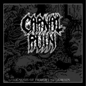 Carnal Ruin - Gnosis Of Immortal Domain (Vinyl) ryhmässä VINYYLI @ Bengans Skivbutik AB (3780748)