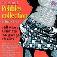 Various Artists - Essential Pebbles Vol. 2 ryhmässä CD @ Bengans Skivbutik AB (3782640)