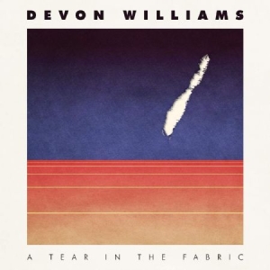 Williams Devon - A Tear In The Fabric ryhmässä VINYYLI @ Bengans Skivbutik AB (3783683)