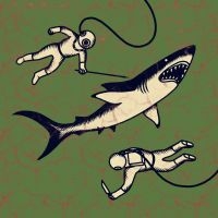 Shepparton Airplane - Sharks ryhmässä VINYYLI @ Bengans Skivbutik AB (3788059)