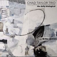 Taylor Chad (Trio) - Daily Biological ryhmässä ME SUOSITTELEMME / Årsbästalistor 2020 / JazzTimes 2020 @ Bengans Skivbutik AB (3788073)