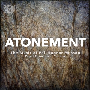 Palsson Pall Ragnar - Atonement - The Music Of Pall Ragna ryhmässä CD @ Bengans Skivbutik AB (3788210)