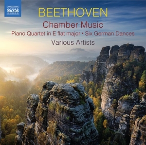 Beethoven Ludwig Van - Chamber Music (2Cd) ryhmässä CD @ Bengans Skivbutik AB (3788261)