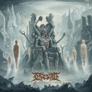 Ingested - Where Only Gods May Tread ryhmässä VINYYLI @ Bengans Skivbutik AB (3802579)