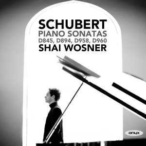 Schubert Franz - Piano Sonatas D845, 894, 958 & 960 ryhmässä CD @ Bengans Skivbutik AB (3802703)