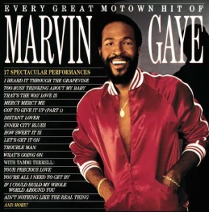 Marvin Gaye - Every Great Motown Hit (Vinyl) ryhmässä VINYYLI @ Bengans Skivbutik AB (3808159)