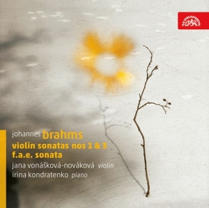 Brahms Johannes - Violin Sonatas ryhmässä CD @ Bengans Skivbutik AB (3816750)