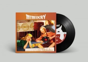 Mimikry - Tidsfördriv ryhmässä VINYYLI @ Bengans Skivbutik AB (3821643)