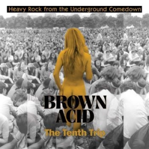 V/A - Brown Acid: The Tenth Trip - Brown Acid: The Tenth Trip (Lila Vi ryhmässä VINYYLI @ Bengans Skivbutik AB (3829146)