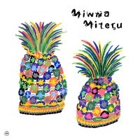 Minna Miteru - Various ryhmässä VINYYLI @ Bengans Skivbutik AB (3834828)