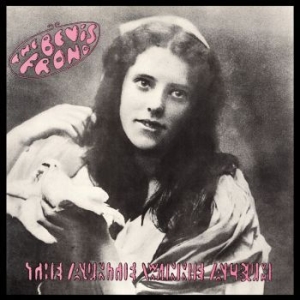 Bevis Frond - Auntie Winnie Album ryhmässä CD @ Bengans Skivbutik AB (3842264)