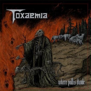 Toxaemia - Where Paths Divide (Vinyl) ryhmässä VINYYLI @ Bengans Skivbutik AB (3844219)