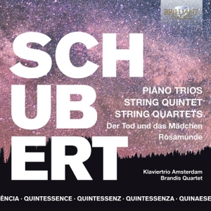 Franz Schubert - Quintessence Schubert - Piano Trios ryhmässä CD @ Bengans Skivbutik AB (3846958)