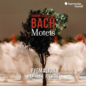 Pygmalion / Raphael Pichon - Bach Motets ryhmässä CD @ Bengans Skivbutik AB (3848643)