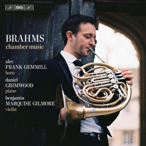 Brahms Johannes - Chamber Music ryhmässä Musiikki / SACD / Klassiskt @ Bengans Skivbutik AB (3848670)