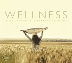 Wellness - Wellness ryhmässä CD @ Bengans Skivbutik AB (3852515)