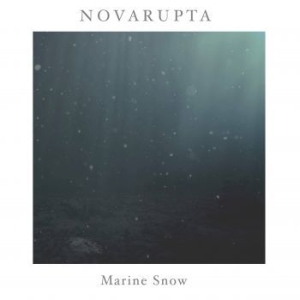 Novarupta - Marine Snow ryhmässä ME SUOSITTELEMME / Årsbästalistor 2020 / Bengans Sthlm Årsbästa 2020 @ Bengans Skivbutik AB (3860028)