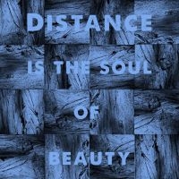 Sheehy Michael J - Distance Is The Soul Of Beauty ryhmässä VINYYLI @ Bengans Skivbutik AB (3866026)