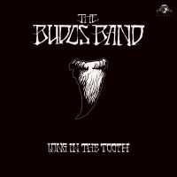 Budos Band The - Long In The Tooth ryhmässä VINYYLI @ Bengans Skivbutik AB (3894424)