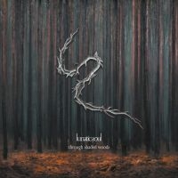 Lunatic Soul - Through Shaded Woods ryhmässä CD @ Bengans Skivbutik AB (3900174)