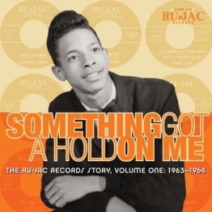 Various Artists - Something Got A Hold On Me: ryhmässä CD @ Bengans Skivbutik AB (3900409)