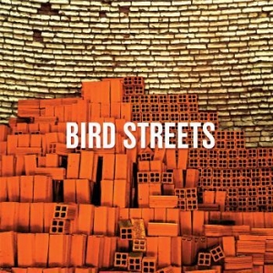 Bird Streets - John Brodeur/Jason Falkner ryhmässä CD @ Bengans Skivbutik AB (3900431)