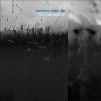 Shipp Matthew (Trio) - Unidentifiable ryhmässä ME SUOSITTELEMME / Årsbästalistor 2020 / JazzTimes 2020 @ Bengans Skivbutik AB (3901184)